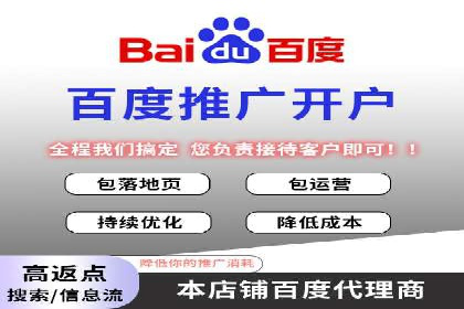 SEO百度推广策略：成功案例解析